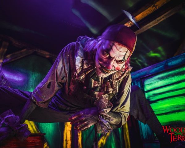 Woods of Terror 2023 -7255